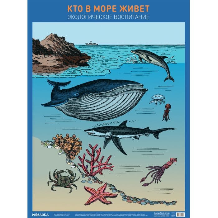 Плакат.Кто в море живет - купить в магазине Кассандра, фото, 9785431527043, 