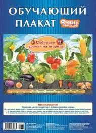 Плакат.Собираем урожай на огороде.А2 (картон) 006 - купить в магазине Кассандра, фото, 4820095530765, 