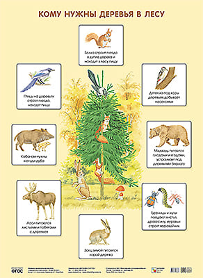 ПЛ Кому нужны деревья в лесу - купить в магазине Кассандра, фото, 9785431506383, 
