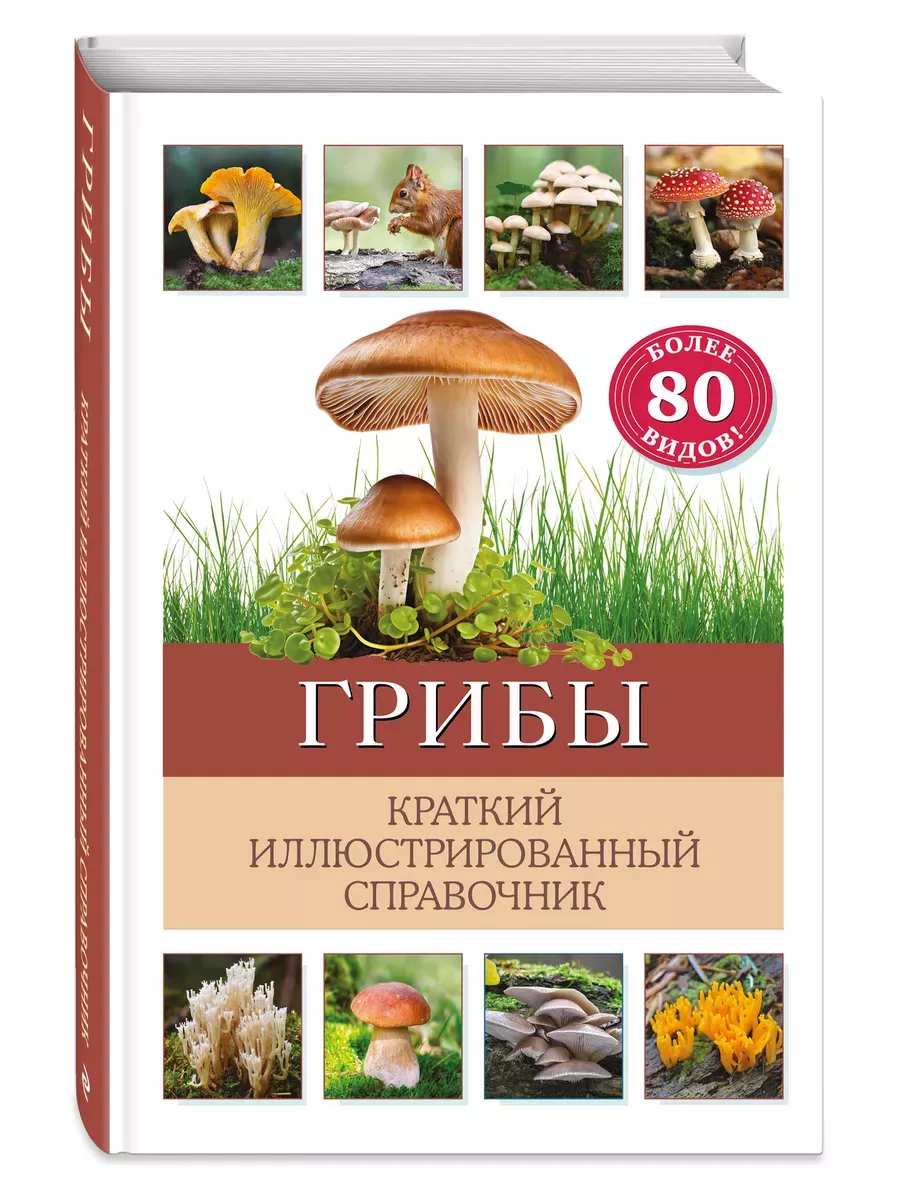 Грибы. Краткий иллюстрированный справочник - купить в магазине Кассандра, фото, 9785041931452, 