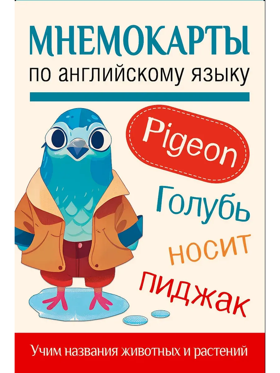 Мнемокарты по английскому языку. Учим названия животных и растений - купить в магазине Кассандра, фото, 9785171698416, 