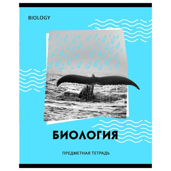 Тетрадь предметная 40л. BG "Neon" - Биология, неоновый пантон, эконом - купить в магазине Кассандра, фото, 4690326255862, 