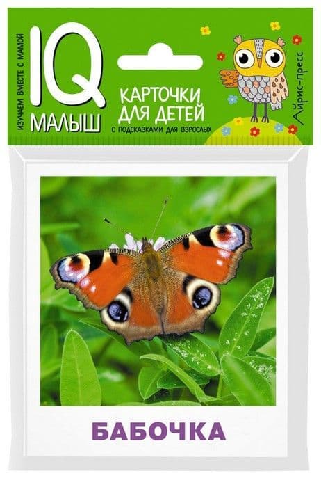 Умный малыш. Насекомые. Набор карточек для детей. - купить в магазине Кассандра, фото, 9785811265046, 