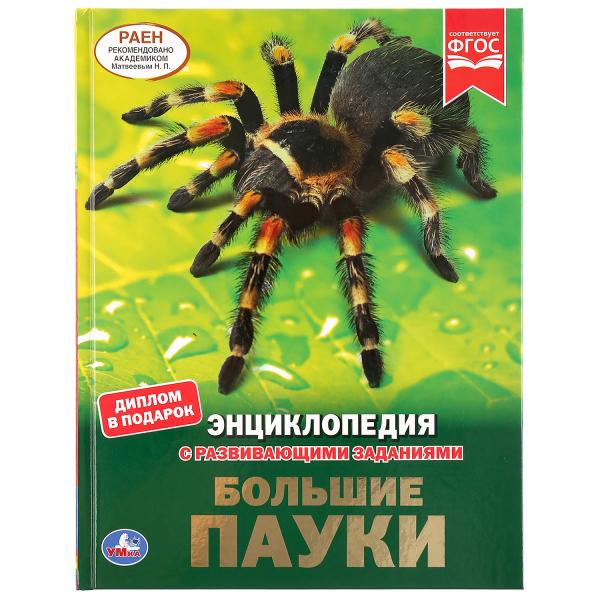 Большие пауки. (Энциклопедия А4 с развивающими заданиями). 197х255мм. 48 стр. Умка в кор.15шт - купить в магазине Кассандра, фото, 9785506043096, 