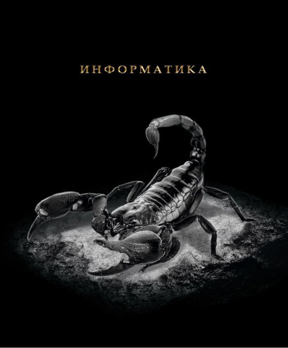 Тетрадь предметная 48л " Проф-Пресс " Blacksoft- Информатика, клетка, со справочным материалом - купить в магазине Кассандра, фото, 4670159017349, 