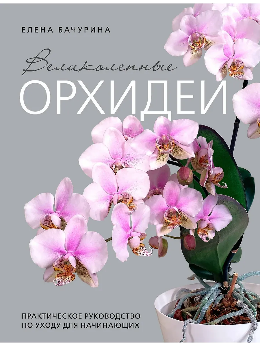 Великолепные орхидеи. Практичное руководство по уходу для начинающих - купить в магазине Кассандра, фото, 9785041994457, 