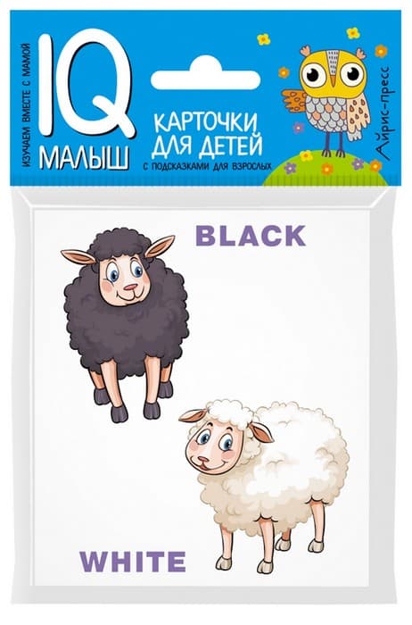 Умный малыш. ENGLISH. Противоположности. - купить в магазине Кассандра, фото, 9785811266609, 