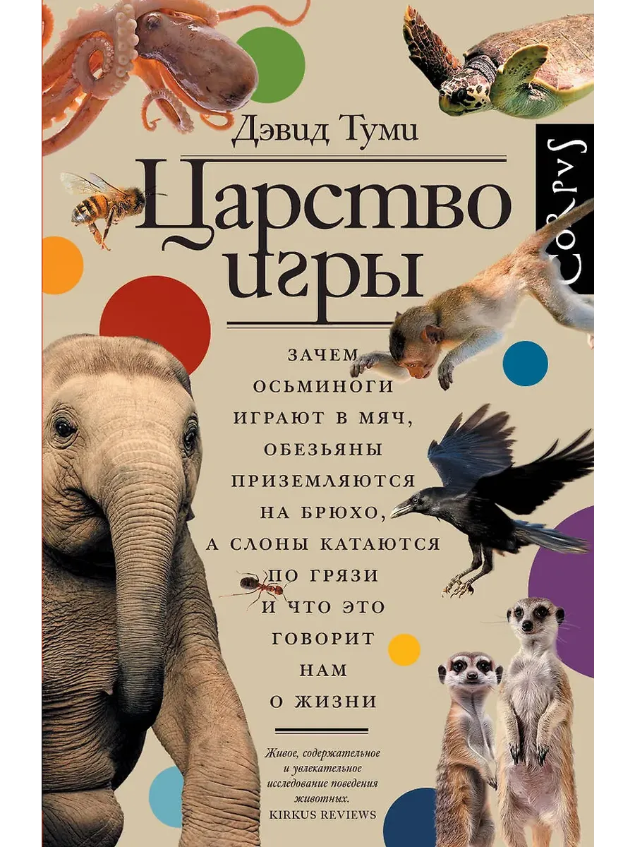 Царство игры - купить в магазине Кассандра, фото, 9785171667894, 