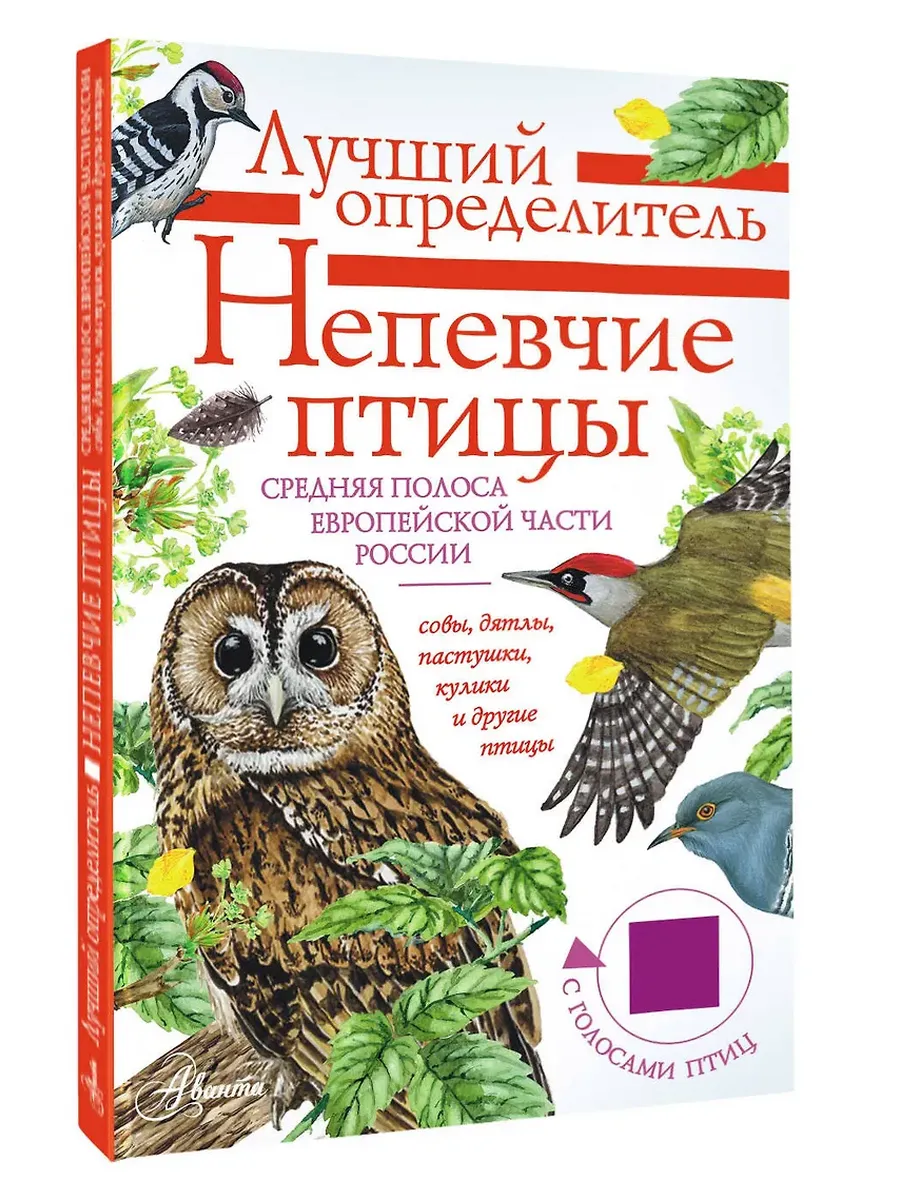 Непевчие птицы. Средняя полоса европейской части России. Определитель с голосами птиц - купить в магазине Кассандра, фото, 9785171652951, 