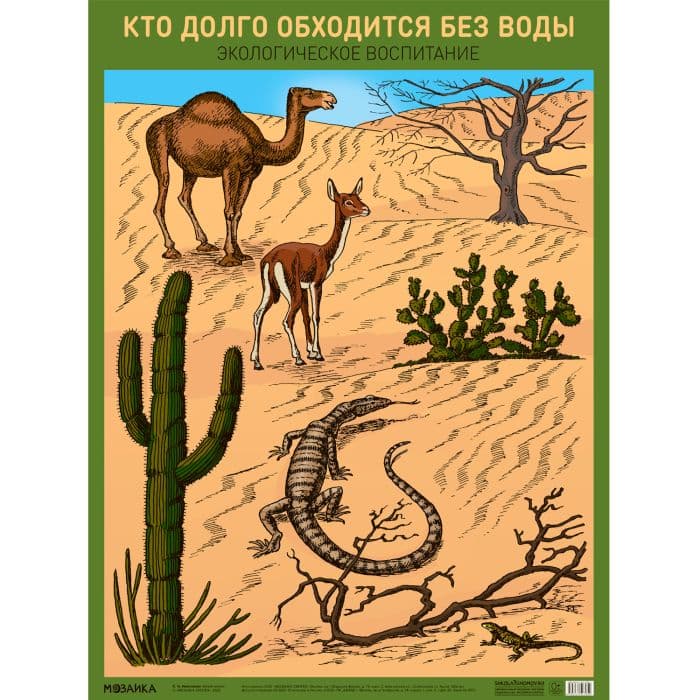 Плакат.Кто долго обходится без воды - купить в магазине Кассандра, фото, 9785431527050, 