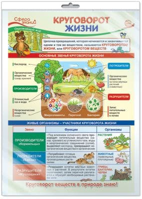 ПЛАКАТ А3 Окружающий мир в начальной школе. Круговорот жизни (в индивид.упак) - купить в магазине Кассандра, фото, 4630112015683, 