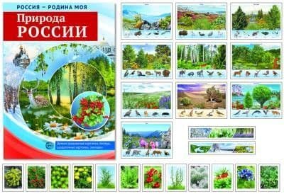 РОССИЯ - РОДИНА МОЯ. Природа России. В папке 10 демонстр. картинок А4 с беседами, 12 раздаточных кар - купить в магазине Кассандра, фото, 9785994913864, 
